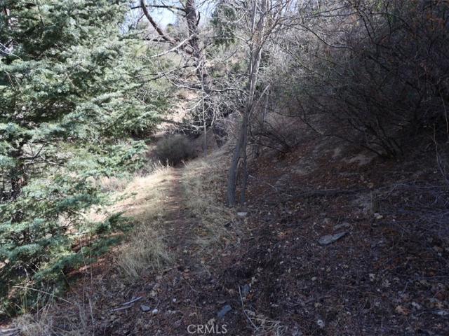 Land for sale in Cedar Glen