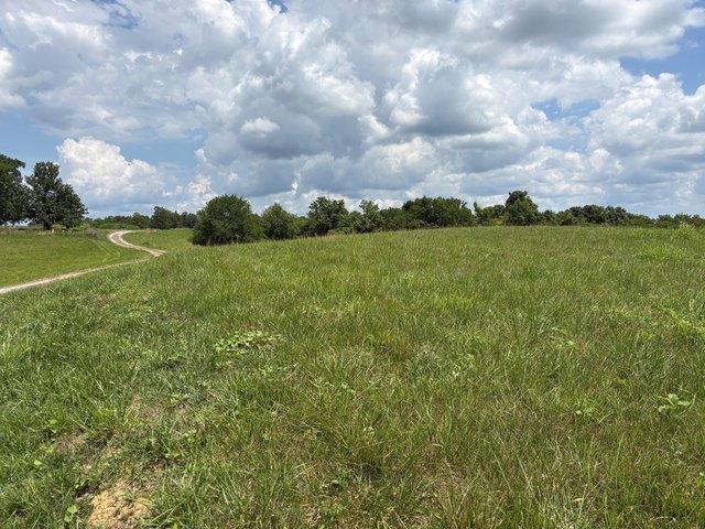 Land for sale in Carlisle, Kentucky