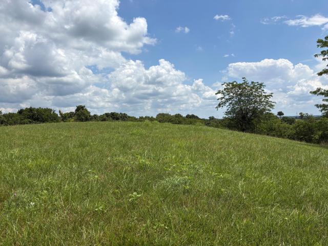 Land for sale in Carlisle, Kentucky