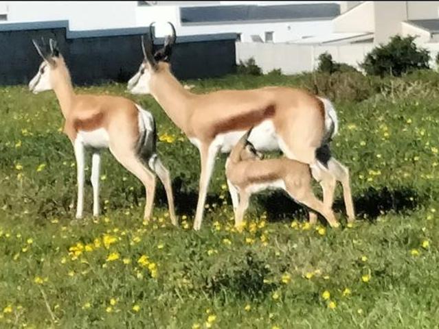 Land for sale in Western Cape