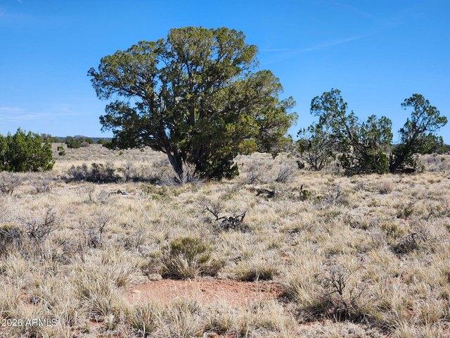 Land for sale in Williams, Arizona