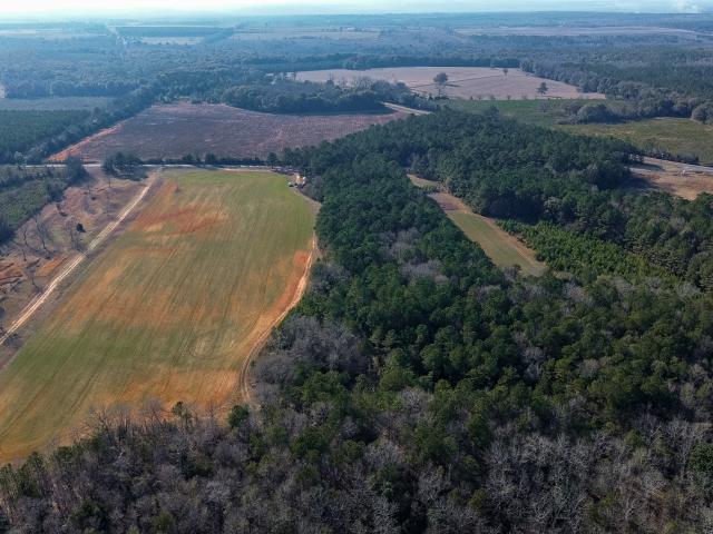 Farm for sale in Plains, Georgia