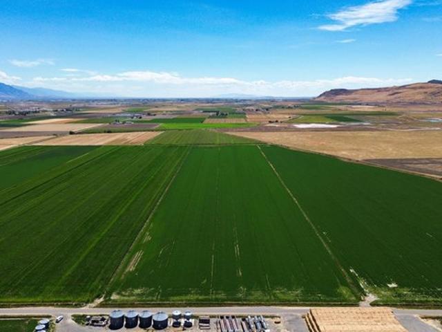 Land for sale in Elwood, Box Elder County
