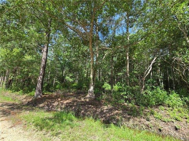 Land for sale in Abita Springs, Louisiana