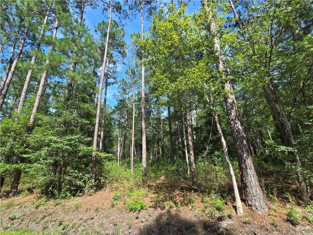 Land for sale in Abita Springs, Louisiana