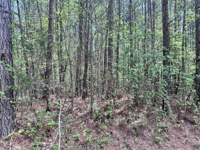 Land for sale in Durham, North Carolina