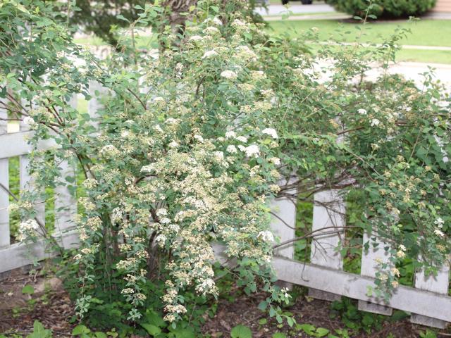 House for sale in Madison, Wisconsin