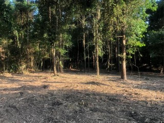 Land for sale in Harris, Texas