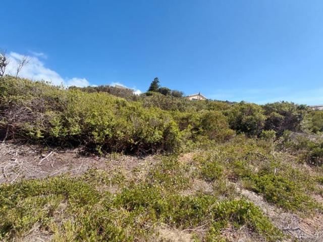 Land for sale in Cape St Francis, Eastern Cape