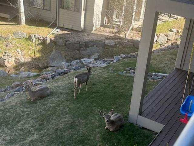Condo for sale in Golden, Colorado