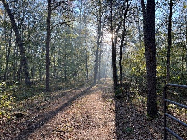 Land for sale in Baldwin, Michigan