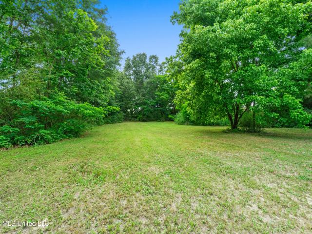 Land for sale in Nesbit, Mississippi