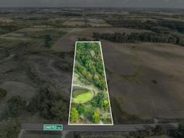 Land for sale in Onsted, Michigan