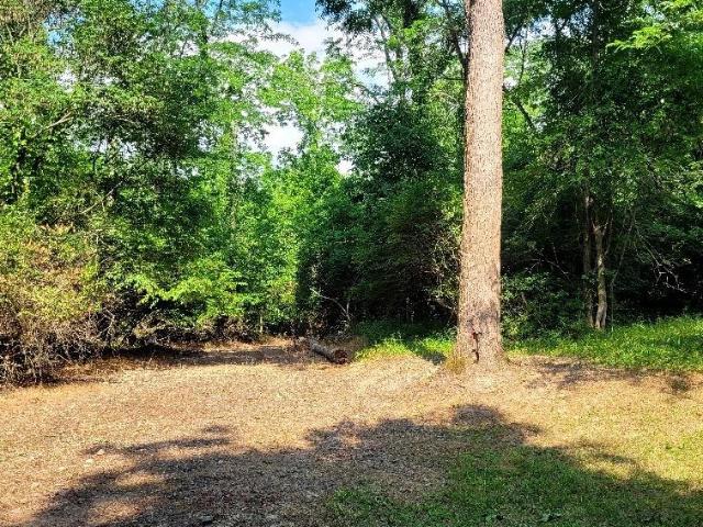 Land for sale in Blanchester, Warren County