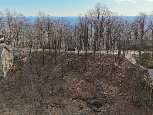 Land for sale in Pickens, Georgia
