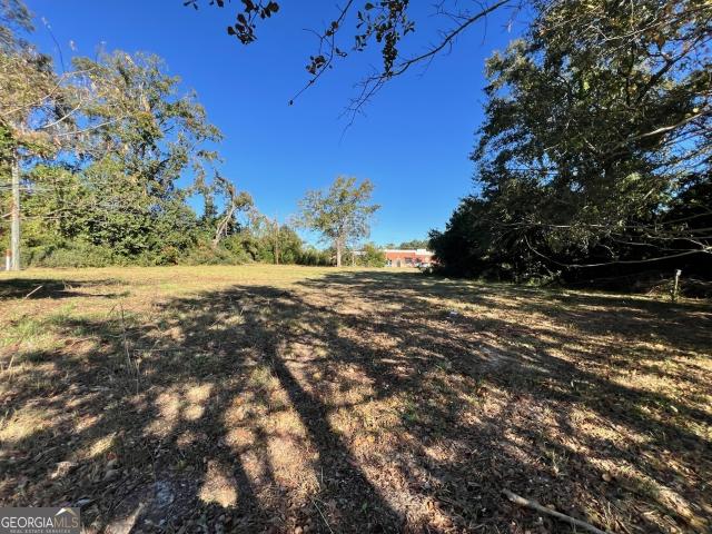 Land for sale in Statesboro, Georgia