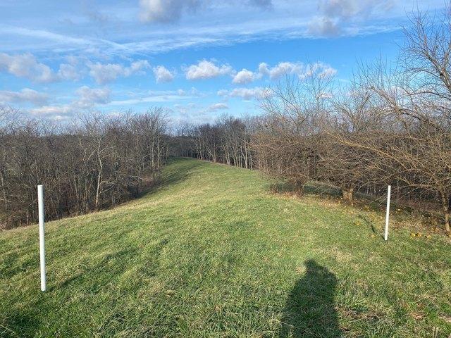 Land for sale in Carlisle, Kentucky