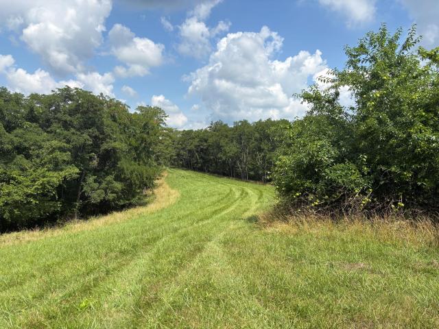 Land for sale in Carlisle, Kentucky