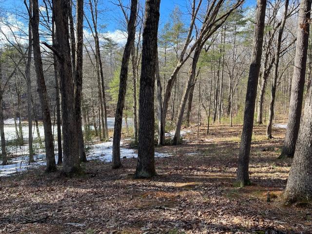 Land for sale in Florence, Massachusetts