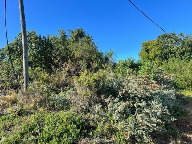 Land for sale in Cape St Francis, Eastern Cape