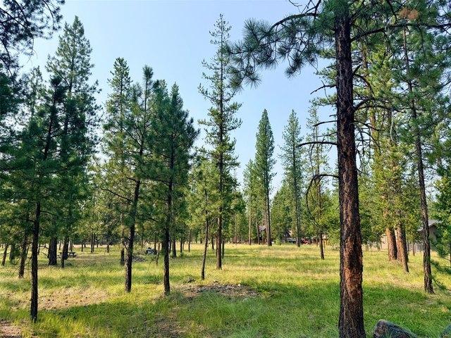 Land for sale in Seeley Lake, Montana