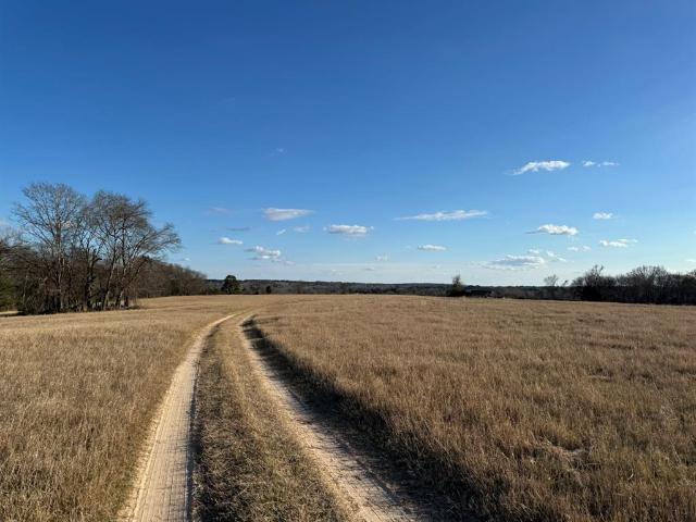 Land for sale in Elkhart, Texas