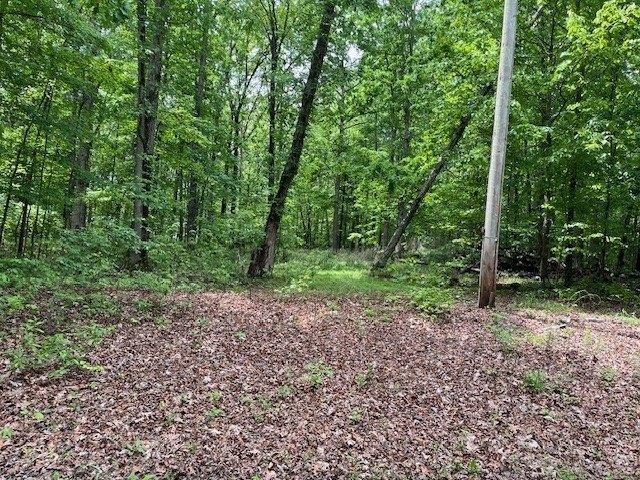Land for sale in Tennessee