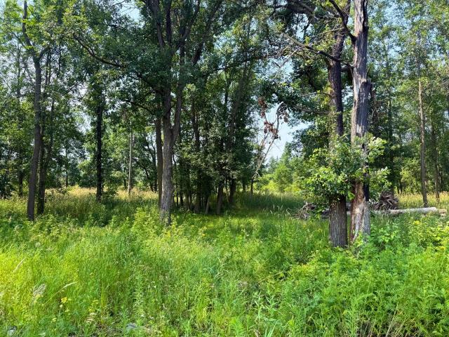 Land for sale in Minnesota