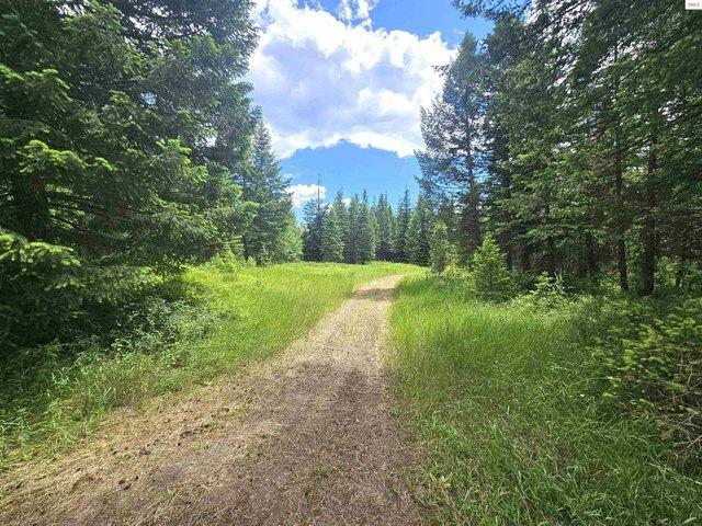 Land for sale in Athol, Idaho