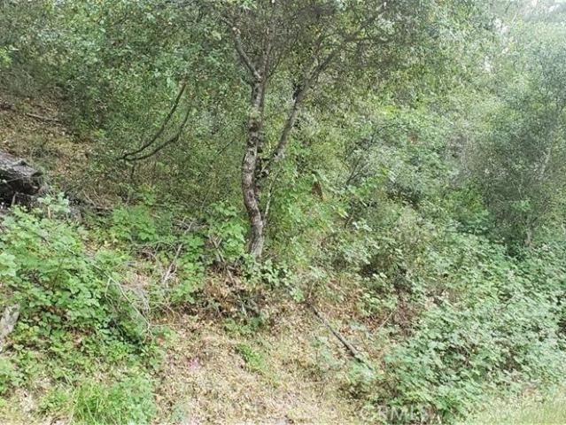Land for sale in Lake, California