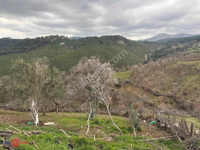 Bergama, İzmir içerisinde satılık Villa