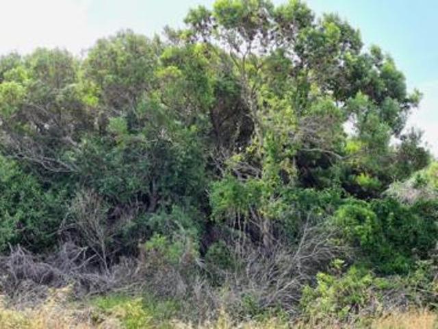 Land for sale in Cape St Francis, Eastern Cape