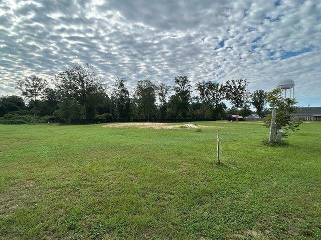 Land for sale in Cowarts, Alabama