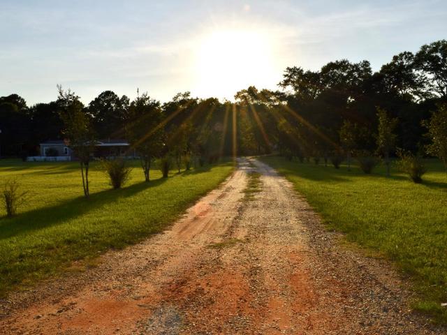 House for sale in Geneva, Alabama