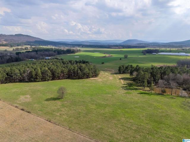 House for sale in Piedmont, Alabama