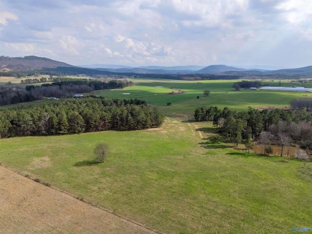 Ranch for sale in Piedmont, Alabama