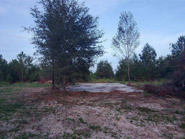 Land for sale in Geneva, Alabama