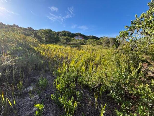 Land for sale in Eastern Cape