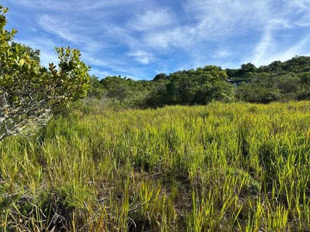 Land for sale in Eastern Cape