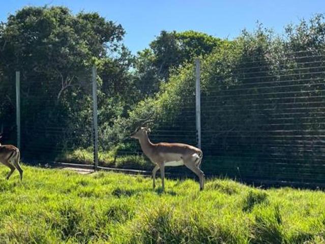 Land for sale in Bushmans River Mouth, Eastern Cape