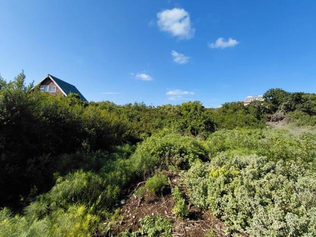 Land for sale in Cape St Francis, Eastern Cape