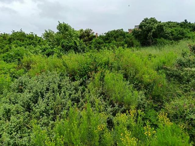 Land for sale in Jeffreys Bay, Kouga Local Municipality
