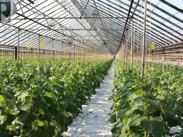 Farm for sale in Leamington, Ontario