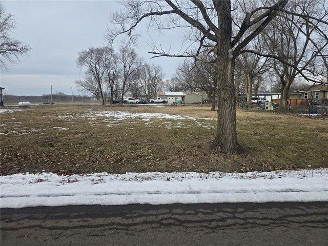 Land for sale in East Lynne, Missouri