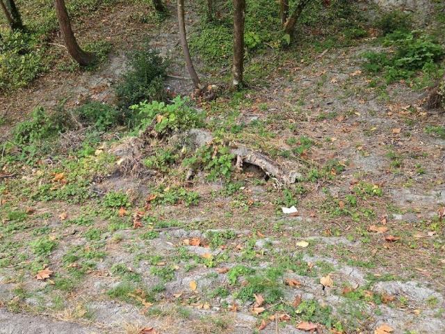Land for sale in Renton, King County