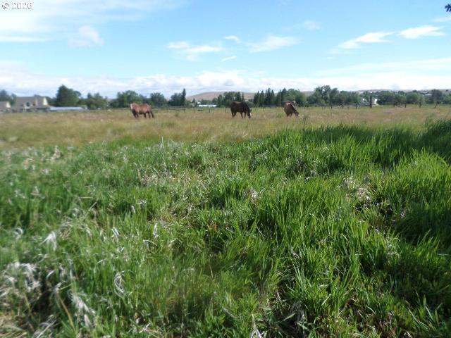 Land for sale in Oregonia
