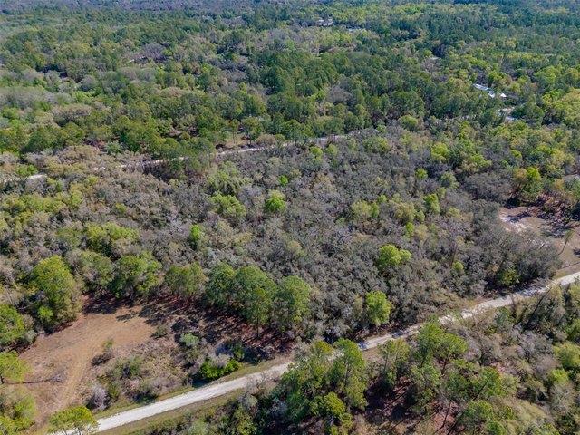 Land for sale in Webster, Florida