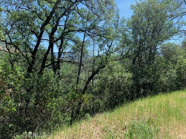 Land for sale in Lake, California