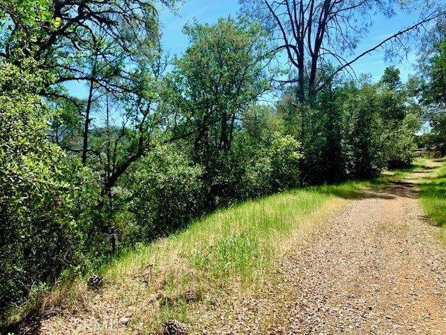 Land for sale in Lake, California