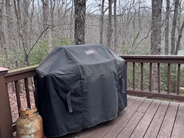 House for sale in Gilmer, Georgia